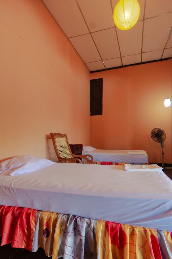 Hostal Lazybones León Dış mekan fotoğraf