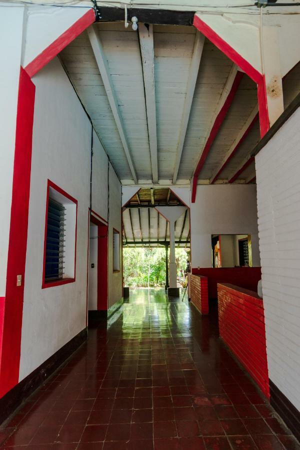 Hostal Lazybones León Dış mekan fotoğraf
